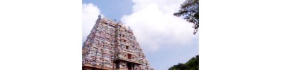 102. திருமாலிருஞ்சோலை (கள்ளழகர் கோயில்)